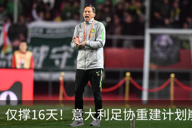 仅撑16天！意大利足协重建计划崩塌：马尔蒂尼与莱昂纳多因皮尔洛任命受阻辞职