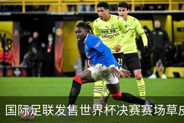 国际足联发售世界杯决赛赛场草皮 450美元一份