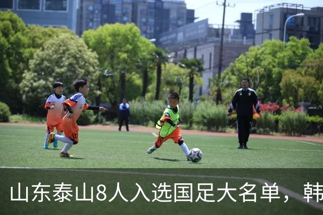 山东泰山8人入选国足大名单，韩鹏青训成果显著