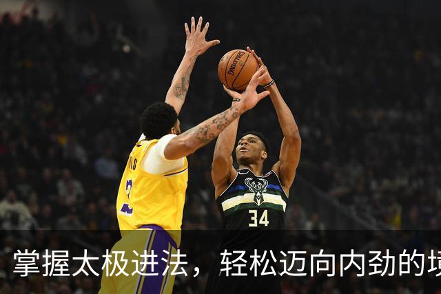 掌握太极进法，轻松迈向内劲的境界！
