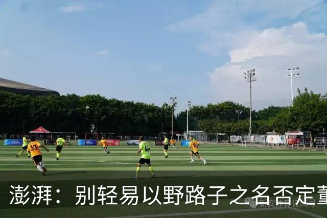 澎湃：别轻易以野路子之名否定董路，中国足球小将增添可能性