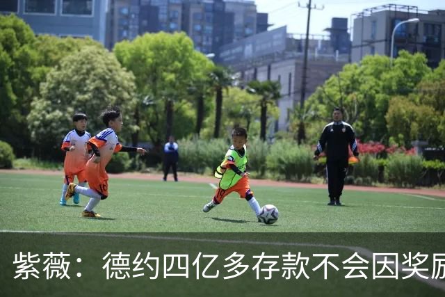 紫薇：德约四亿多存款不会因奖励而参赛，大师赛先回到一周再说
